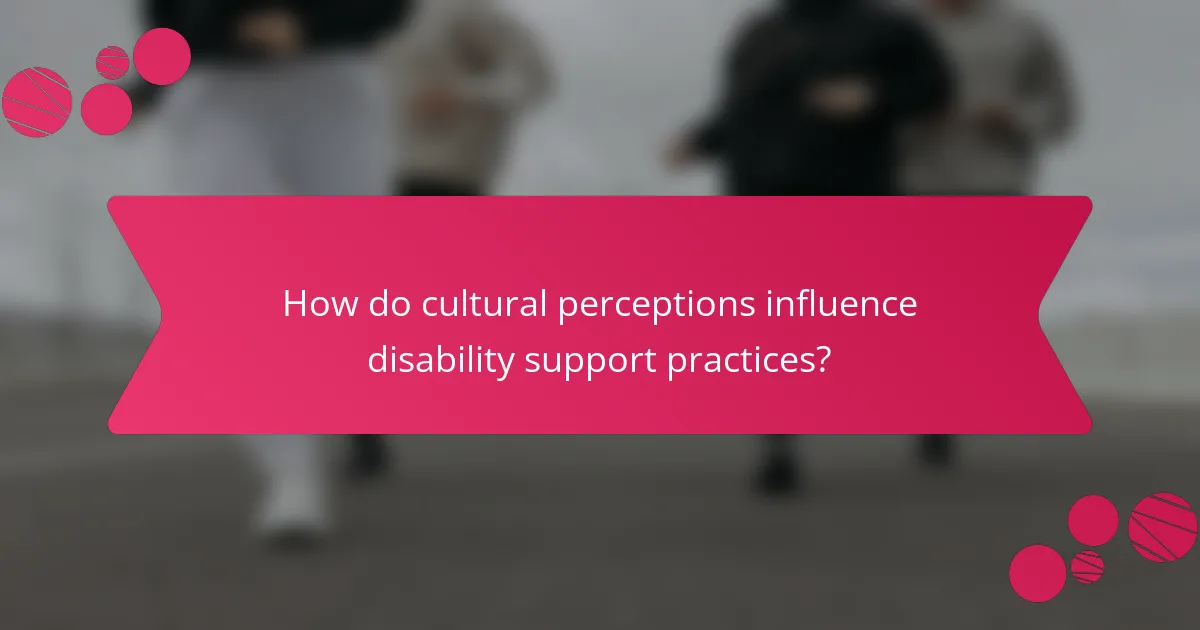 How do cultural perceptions influence disability support practices?